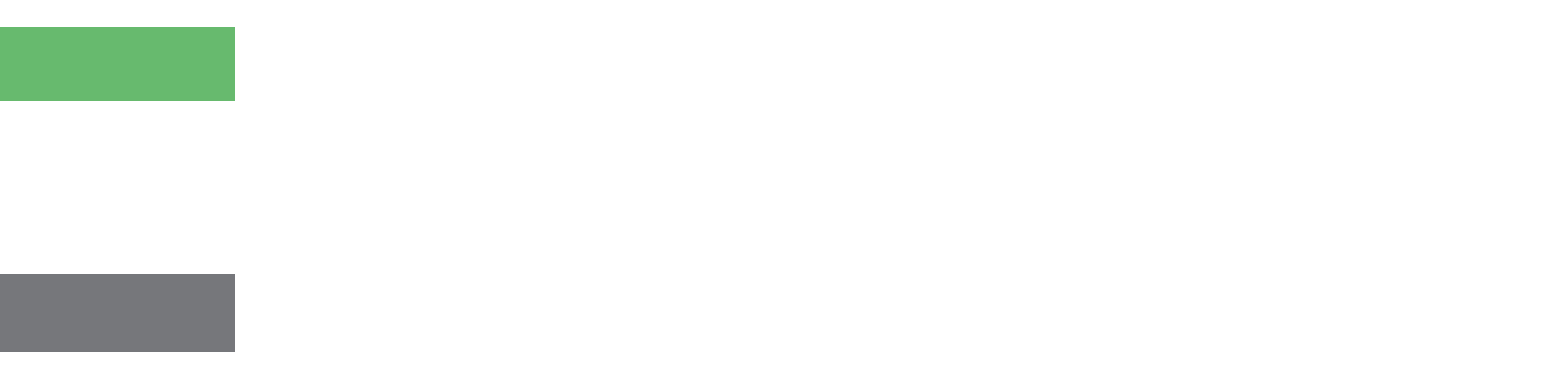 Council on Policing Reforms & Race